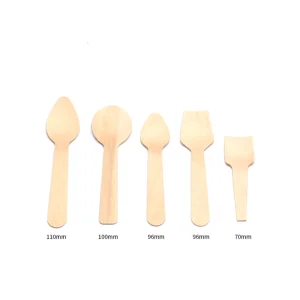 Five different types of wooden spoons displayed for comparison of sizes