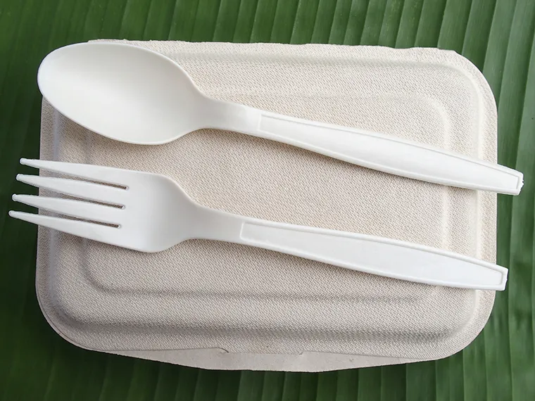 Tenedor y cuchara desechables de bioplástico en bandeja ecológica