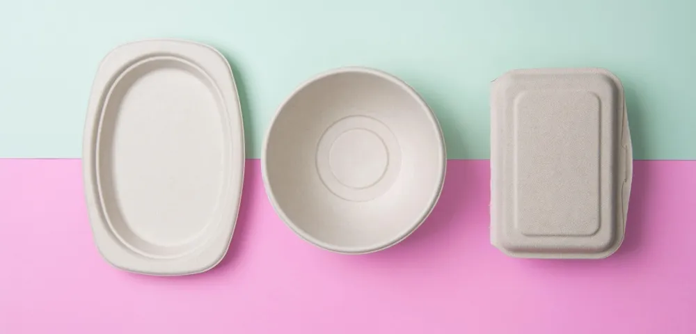 Kompostierbare Bagasse-Lebensmittelbehälter auf pastellfarbenem Hintergrund