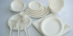 Eco friendly cutlery set made from sugarcane bagasse