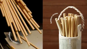 Sugarcane and bamboo straws side by side in bamboo cup