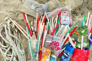 Plastic straws pollution on beach with litter and waste