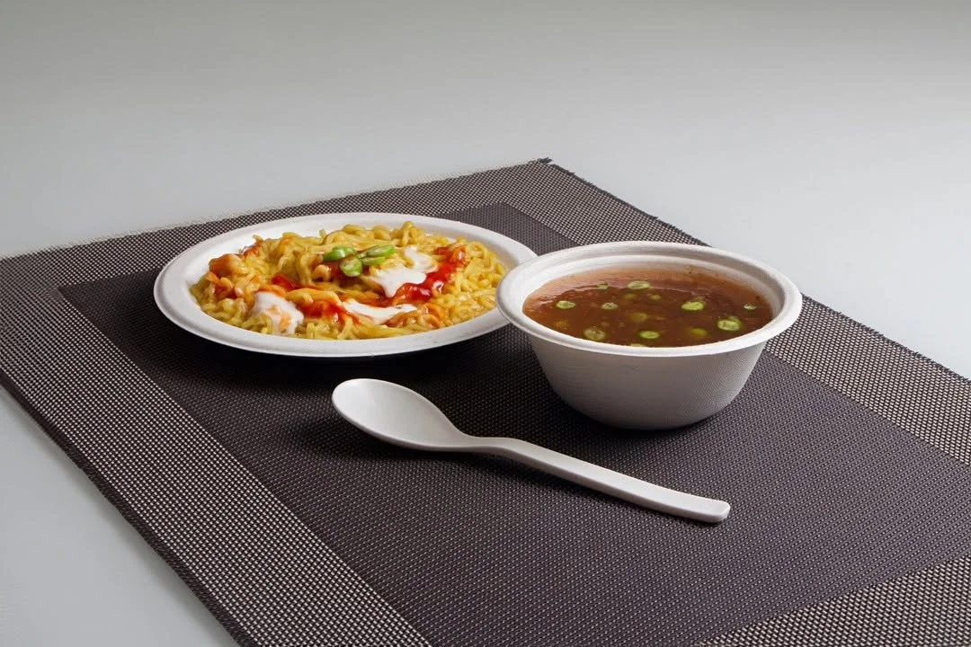 バガスのボウルと皿に麺とスープを添えて バガスのボウルと皿に麺とスープを添えて