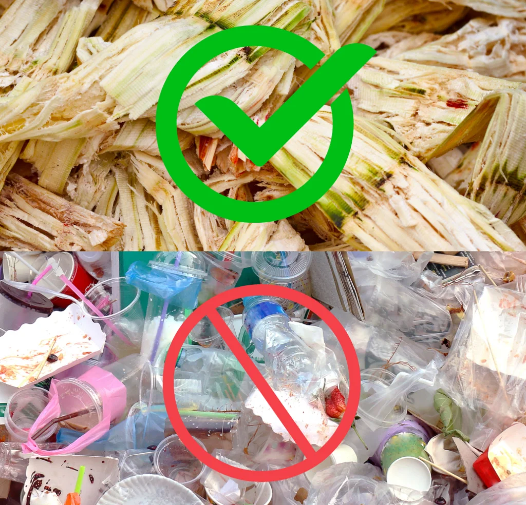 バガスに緑のチェック、プラスチック廃棄物に赤の十字 バガスに緑のチェック、プラスチック廃棄物に赤の十字