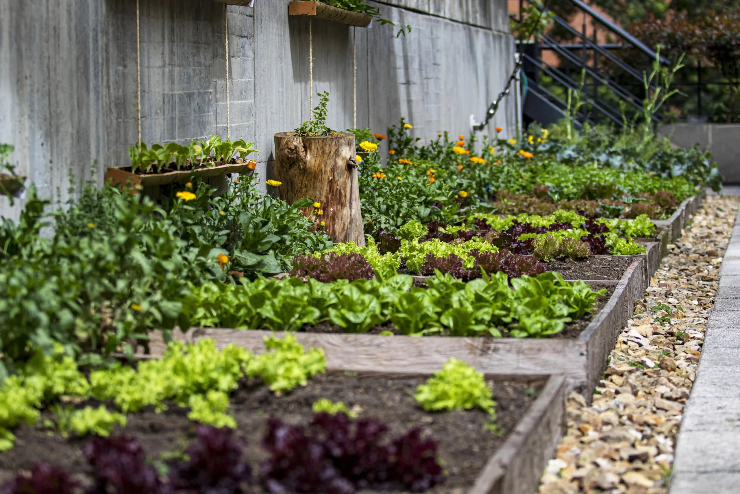 On Site Herb Gardens Local Food Sourcing Eco Friendly Hotel Amenities On Site Herb Gardens Local Food Sourcing Eco Friendly Hotel Amenities