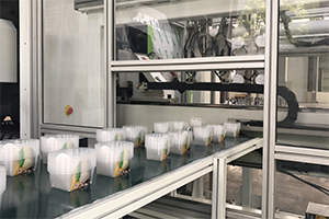 plastic cutlery production line