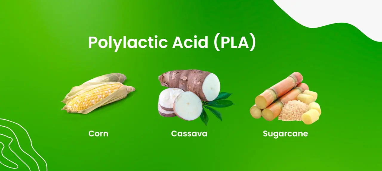 Polylactic acid sources corn cassava sugarcane Polylactic acid sources corn cassava sugarcane